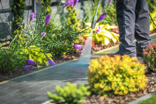 Best Gutter Cleaning  in Union City, OK